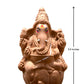 9.5" Seed Ganapathy | With Grow bag, Cocopeat & Extra seeds