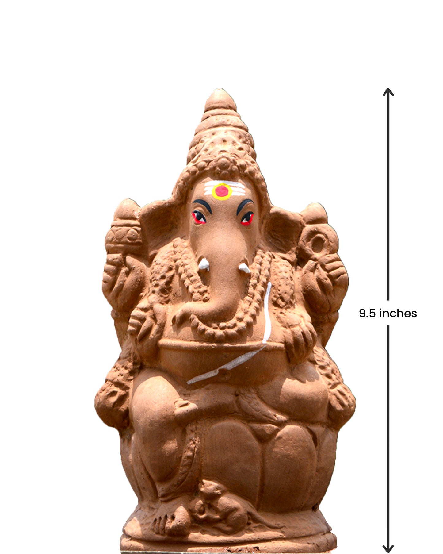 9.5" Seed Ganapathy | With Grow bag, Cocopeat & Extra seeds