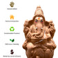 9.5" Seed Ganapathy | With Grow bag, Cocopeat & Extra seeds