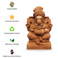 5.5" Seed Ganapathy | With Grow bag, Cocopeat & Extra seeds