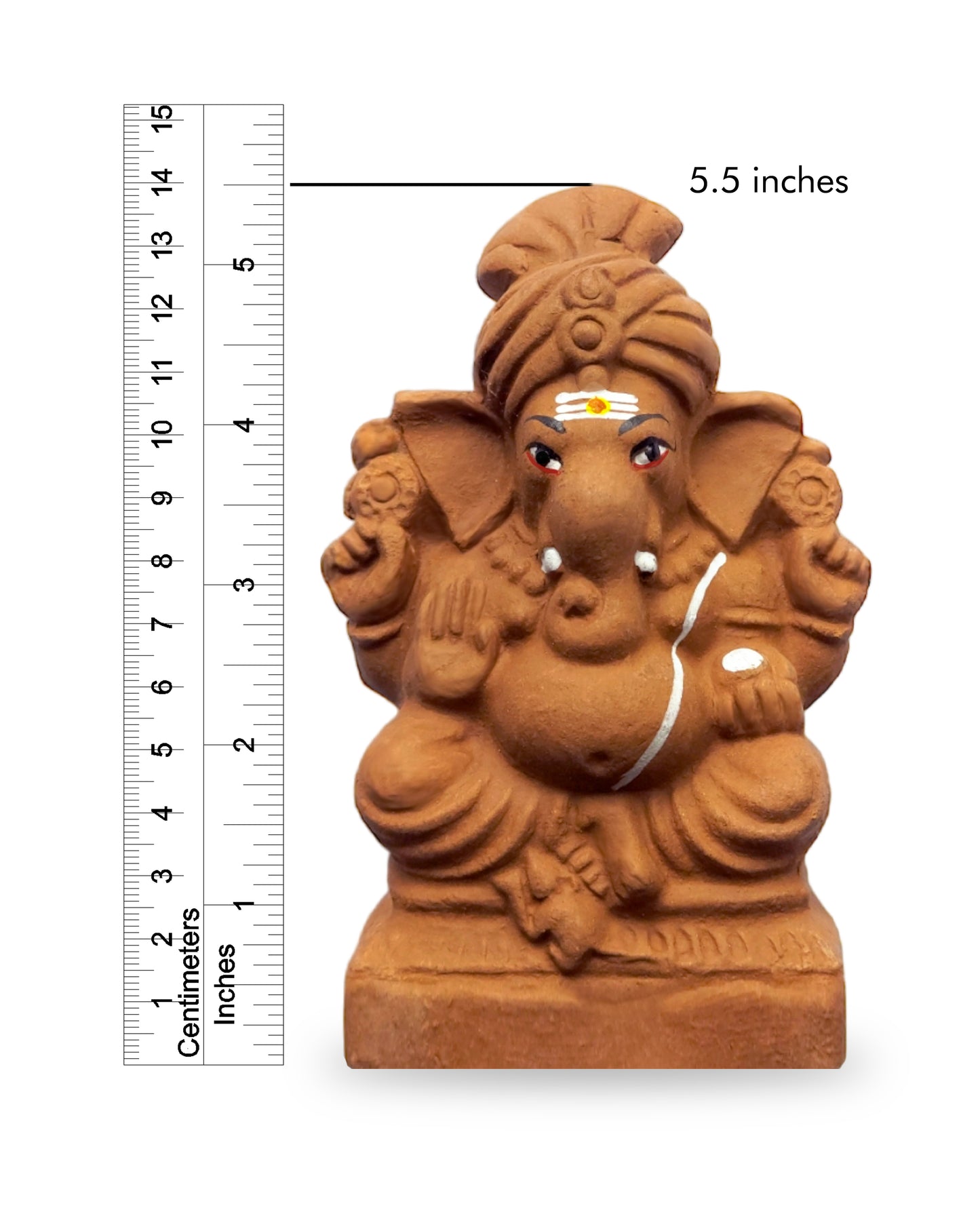 5.5" Seed Ganapathy | With Grow bag, Cocopeat & Extra seeds