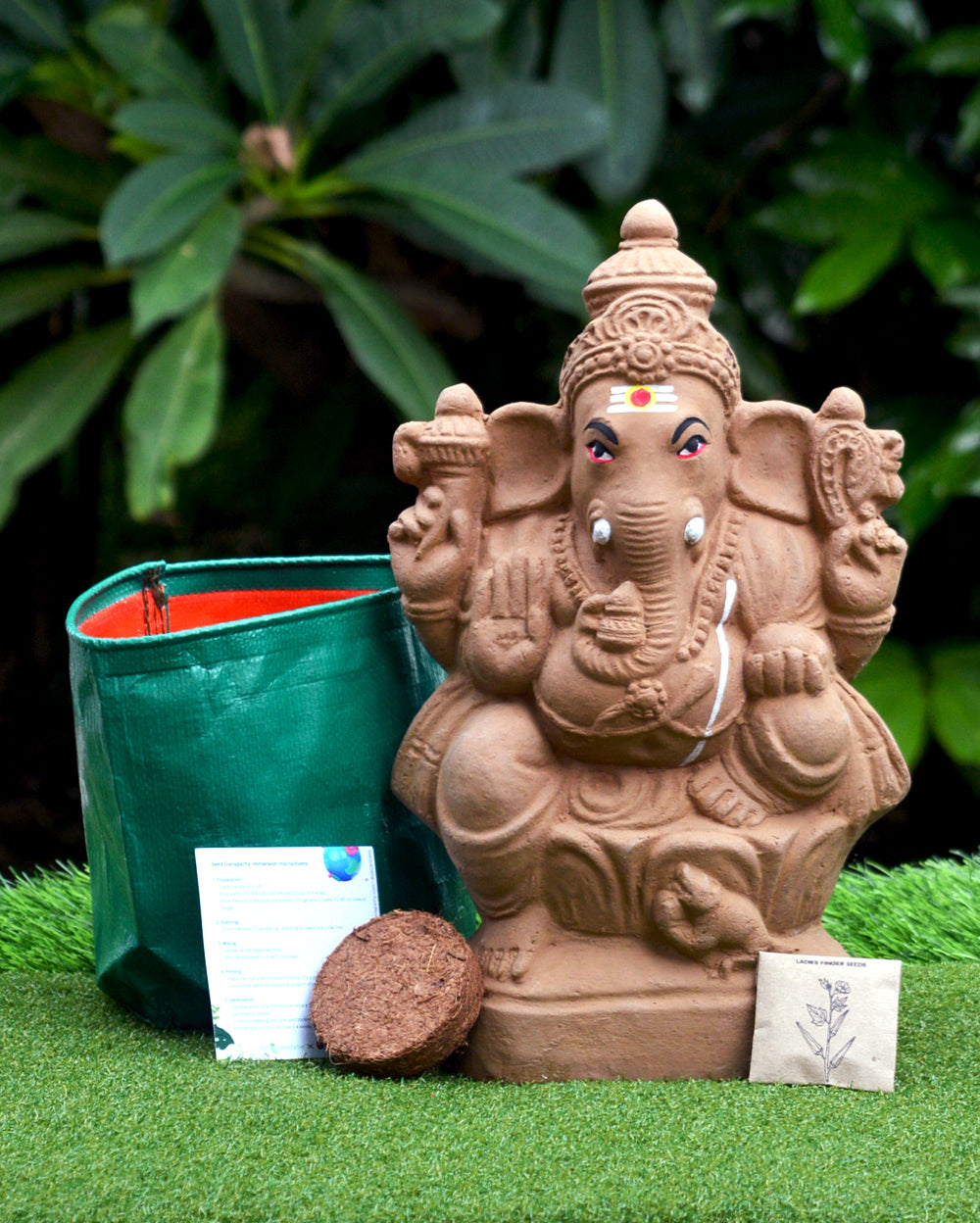 12" Seed Ganapathy | With Grow bag, Cocopeat & Extra seeds