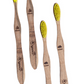 Organic B’s Babool Wood Toothbrush (Pack of 4) | Medium- Adult