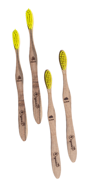 Organic B’s Babool Wood Toothbrush (Pack of 4) | Medium- Adult