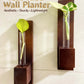 Test Tube Wall Planter with Wooden Holder (Set of 2)