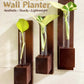 Test Tube Wall Planter with Wooden Holder (set of 3)