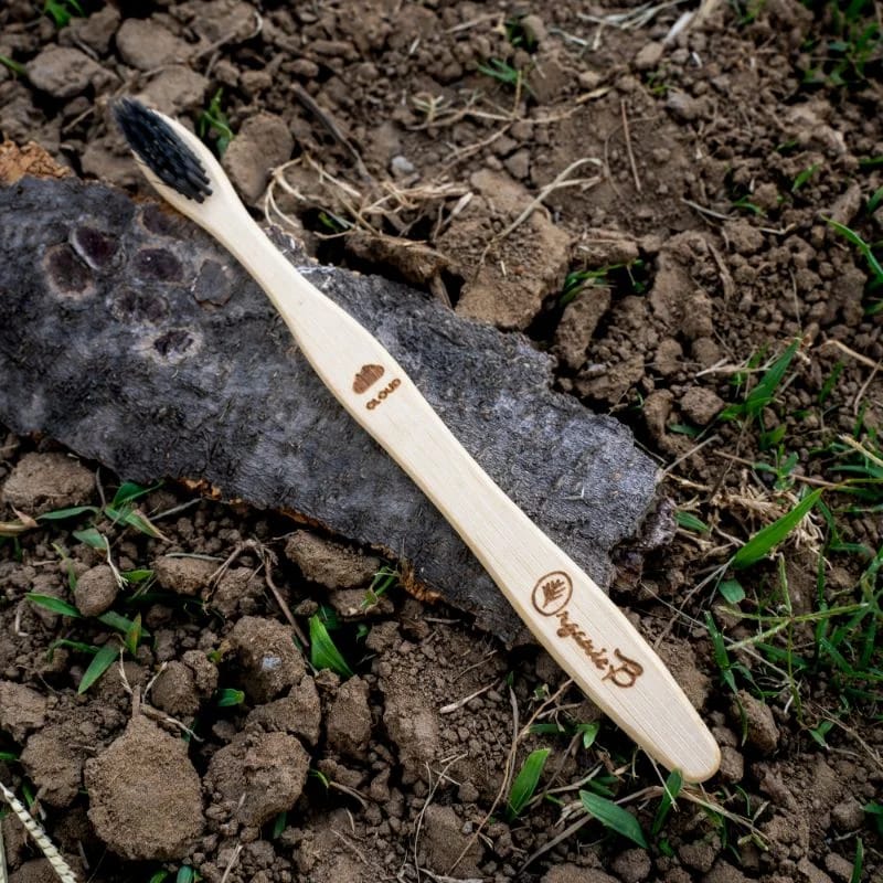 S-Curve Charcoal Bamboo Toothbrush