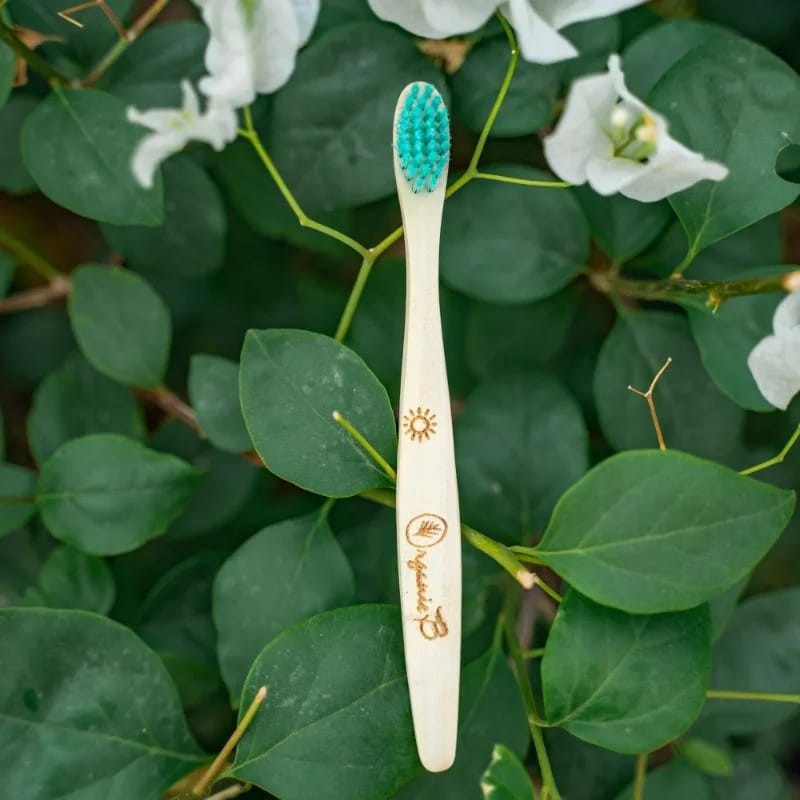 Organic B’s Neem Wood Organic Toothbrush for Kids (Wooden Holder Free)