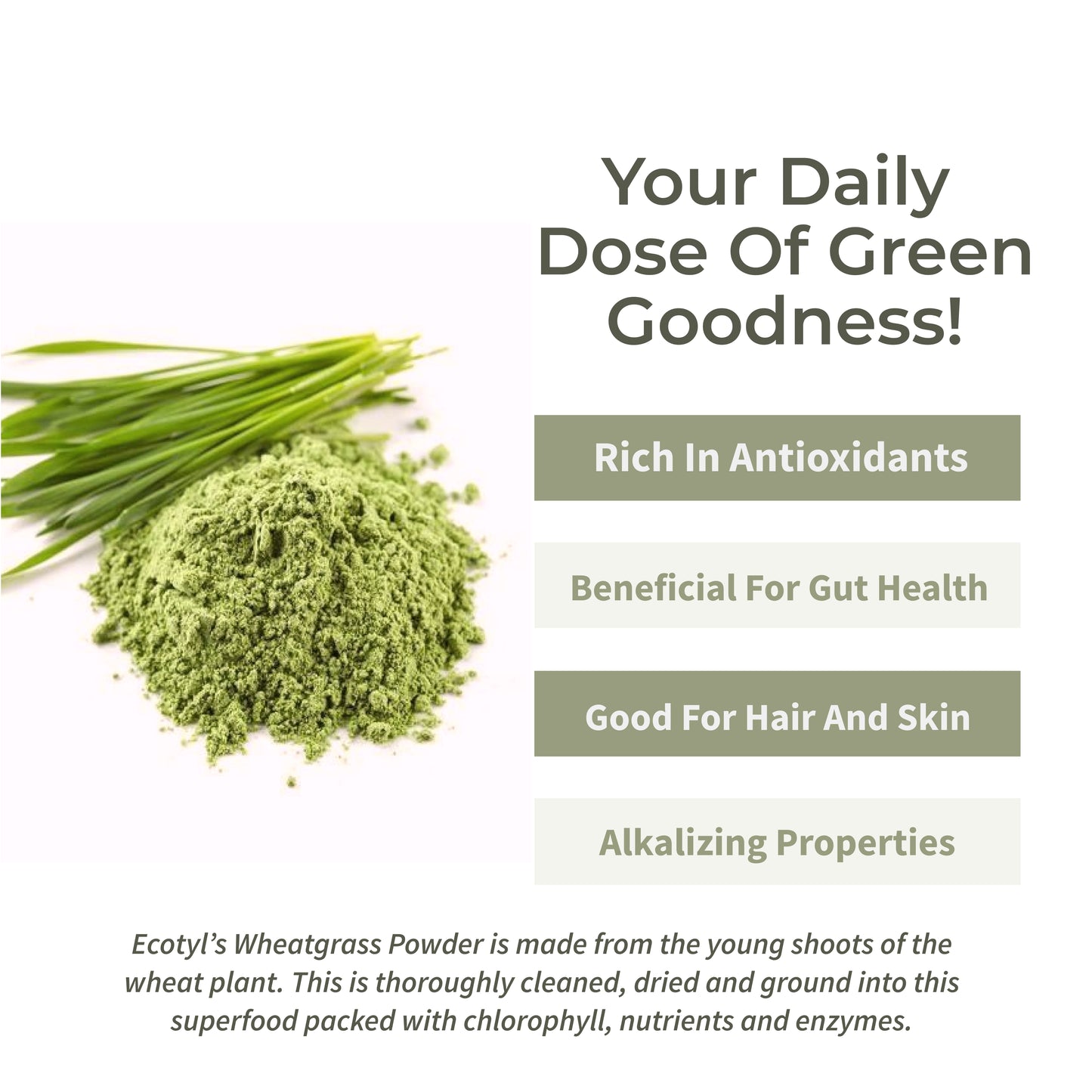 Wheatgrass Powder | Superfood for Immunity & Detox | 100g