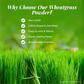 Organic Wheat Grass Powder