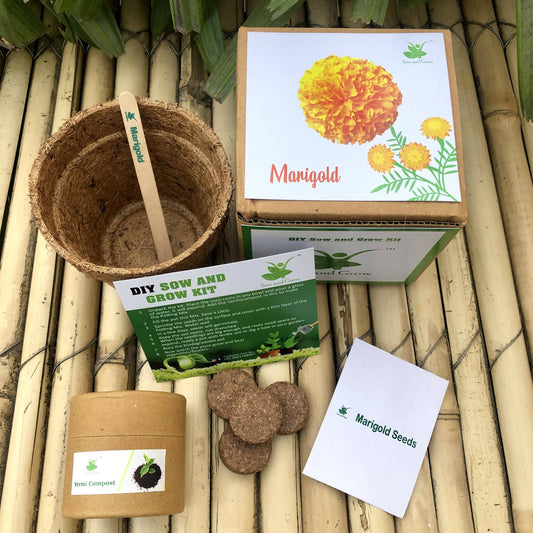 DIY Gardening Kit of Marigold (Grow it Yourself Flower Kit)