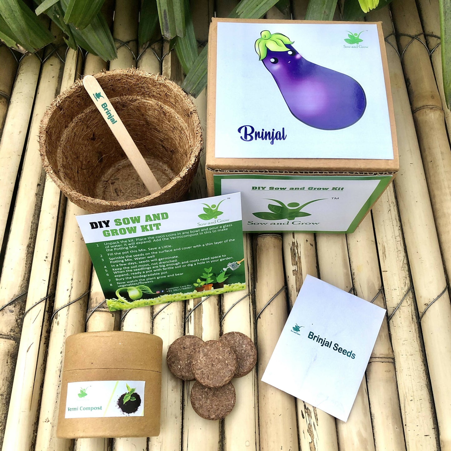 DIY Gardening Kit of Brinjal (Grow it Yourself Vegetable Kit)