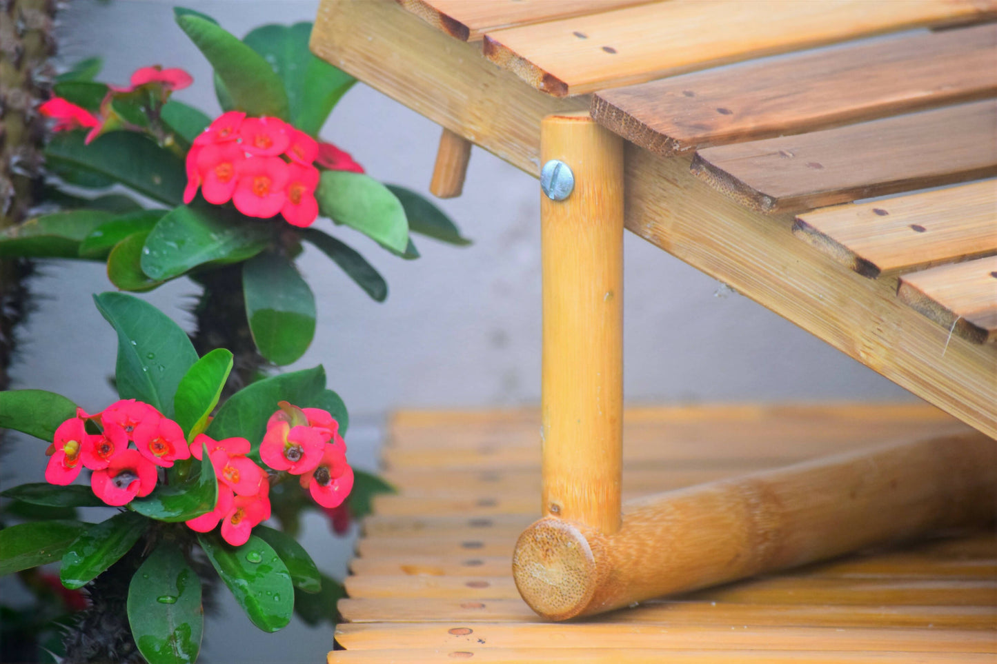 BAMBOO WORK SET (LAPTOP STAND + AMPLIFIER)