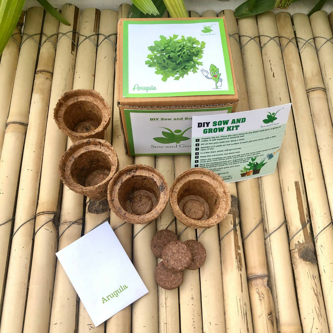 DIY Gardening Kit of Arugula (Grow it Yourself Salad Kit)