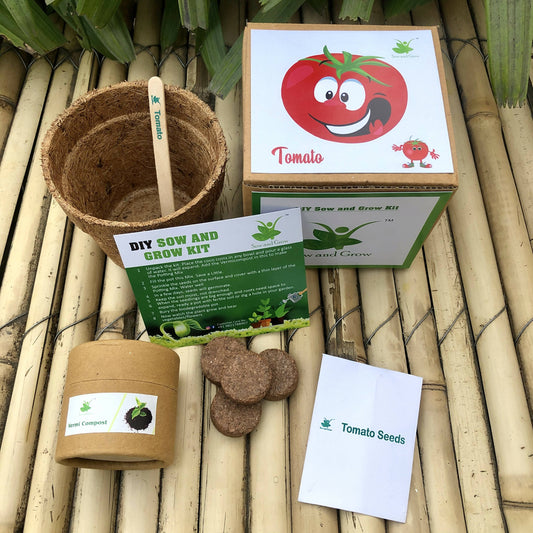 DIY Gardening Kit of Tomato (Grow it Yourself Vegetable Kit)