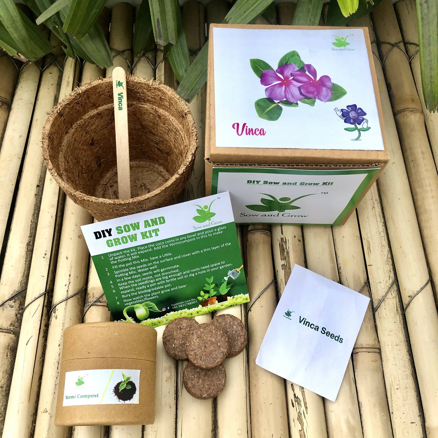 DIY Gardening Kit of Vinca (Grow it Yourself Flower Kit)
