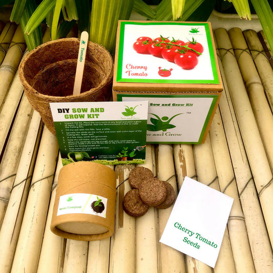 DIY Gardening Kit of Cherry Tomato (Grow it Yourself Vegetable Kit)