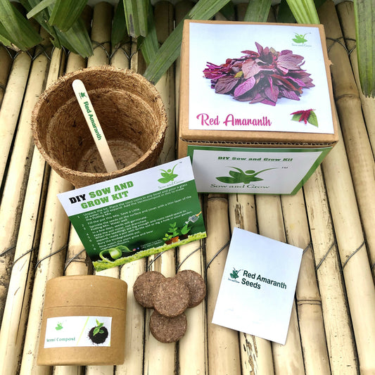 DIY Gardening Kit of Red Amaranth / Lal Saag (Grow it Yourself Vegetable Kit)