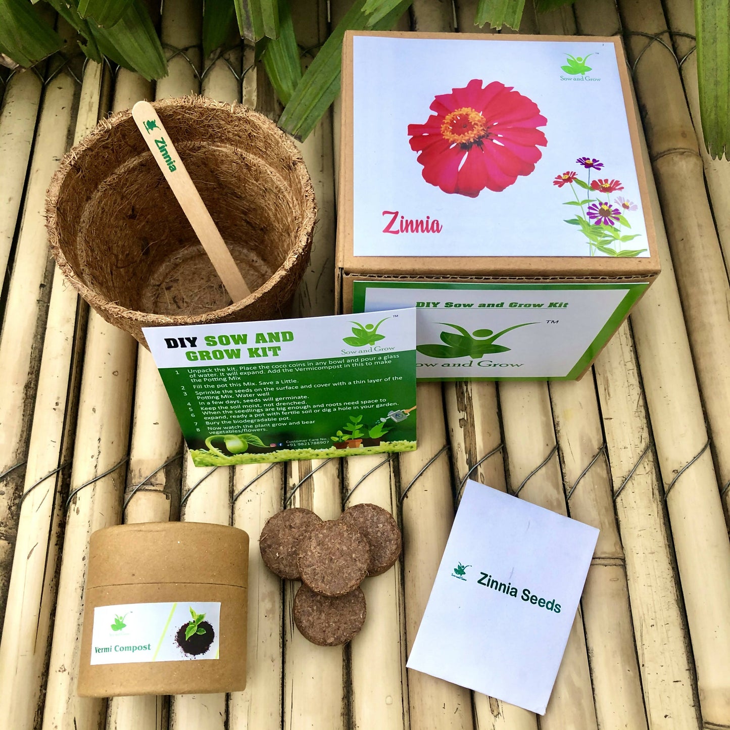 DIY Gardening Kit of Zinnia (Grow it Yourself Flower Kit)
