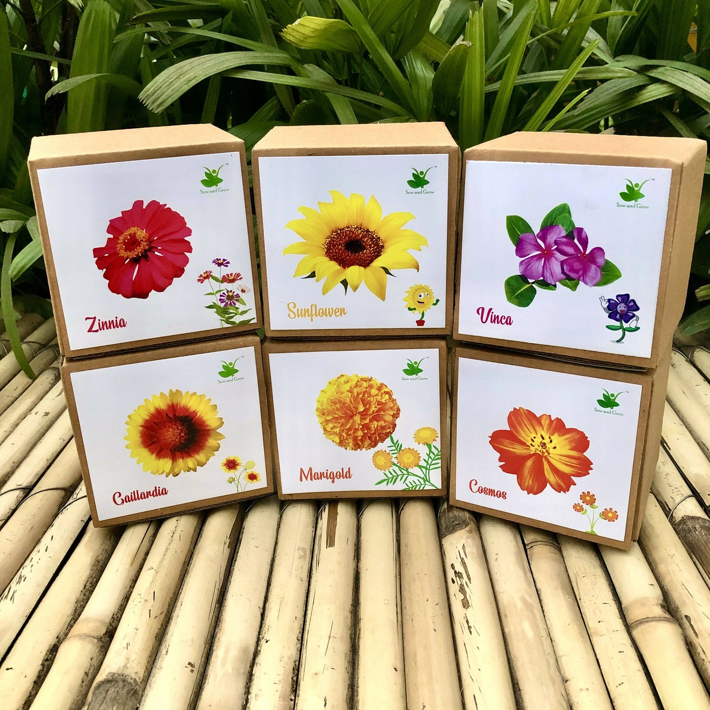 DIY Gardening 6 Flower Kits Combo | Marigold + Sunflower + Cosmos + Vinca + Gaillardia + Zinnia