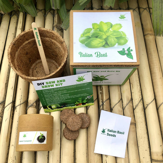 DIY Gardening Kit of Italian Basil Genovese (Grow it Yourself Herb Kit)