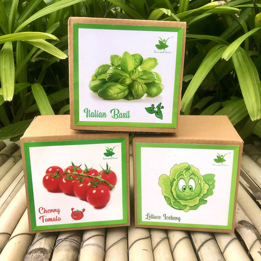 DIY Gardening 3 Exotic Seed Starter Kits | Cherry Tomato + Italian Basil + Lettuce Iceberg