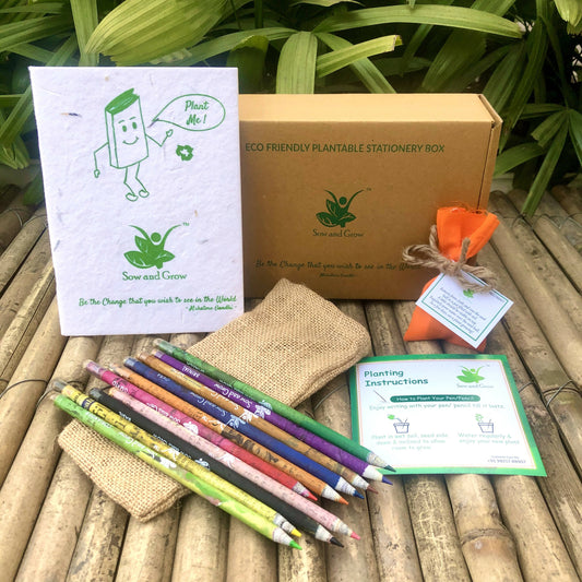 Brown Box Collection: 10 Seed Colour Pencils + 1 Seed Diary + 1 Seed ball